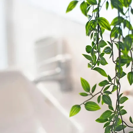 Casablanca Пуэрто-де-ла-Крус