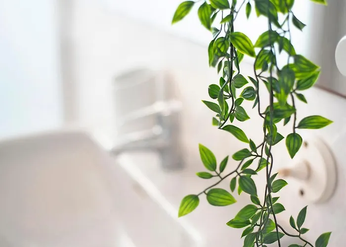 Casablanca Puerto de la Cruz (Tenerife)